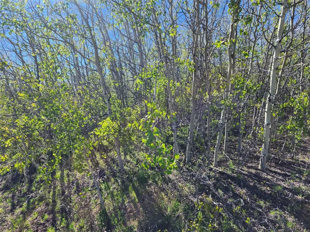 Nhn Alpha Lode & Alpha Fraction Lode, Alpha Trail Anaconda MT 59711