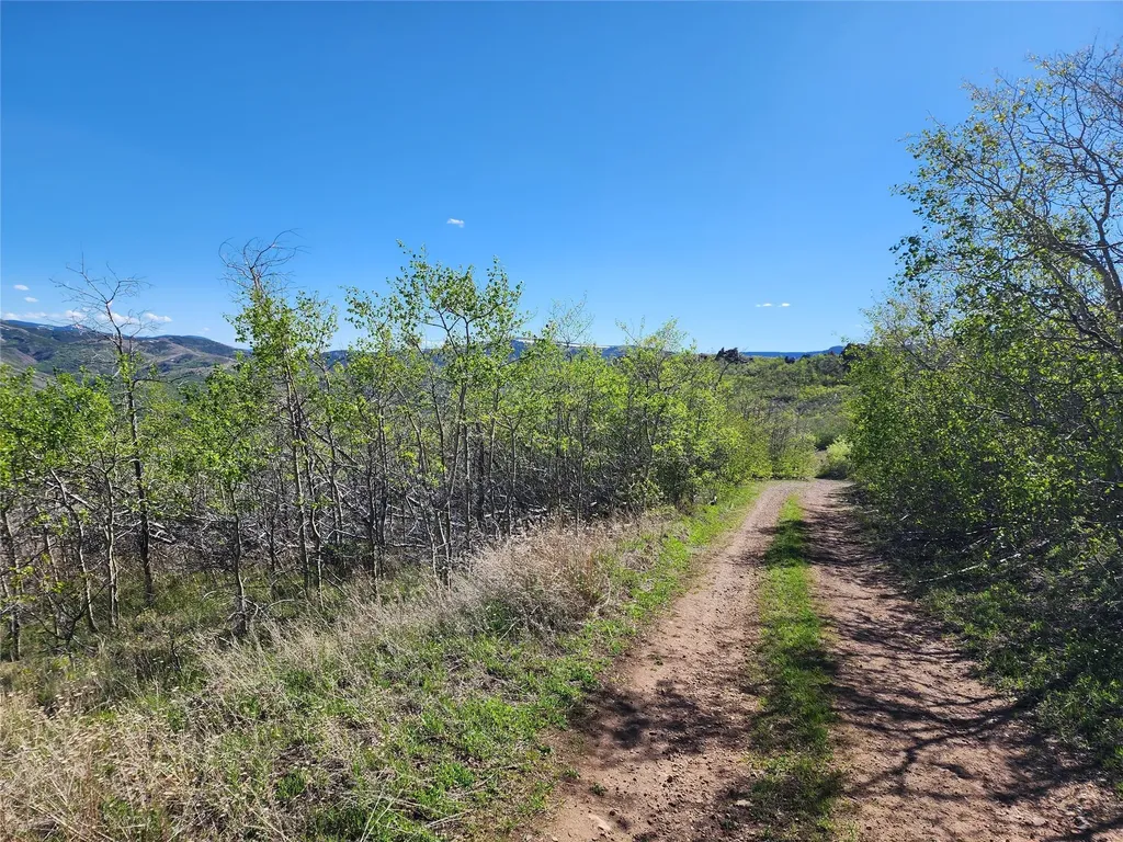Nhn Alpha Lode & Alpha Fraction Lode, Alpha Trail Anaconda MT 59711