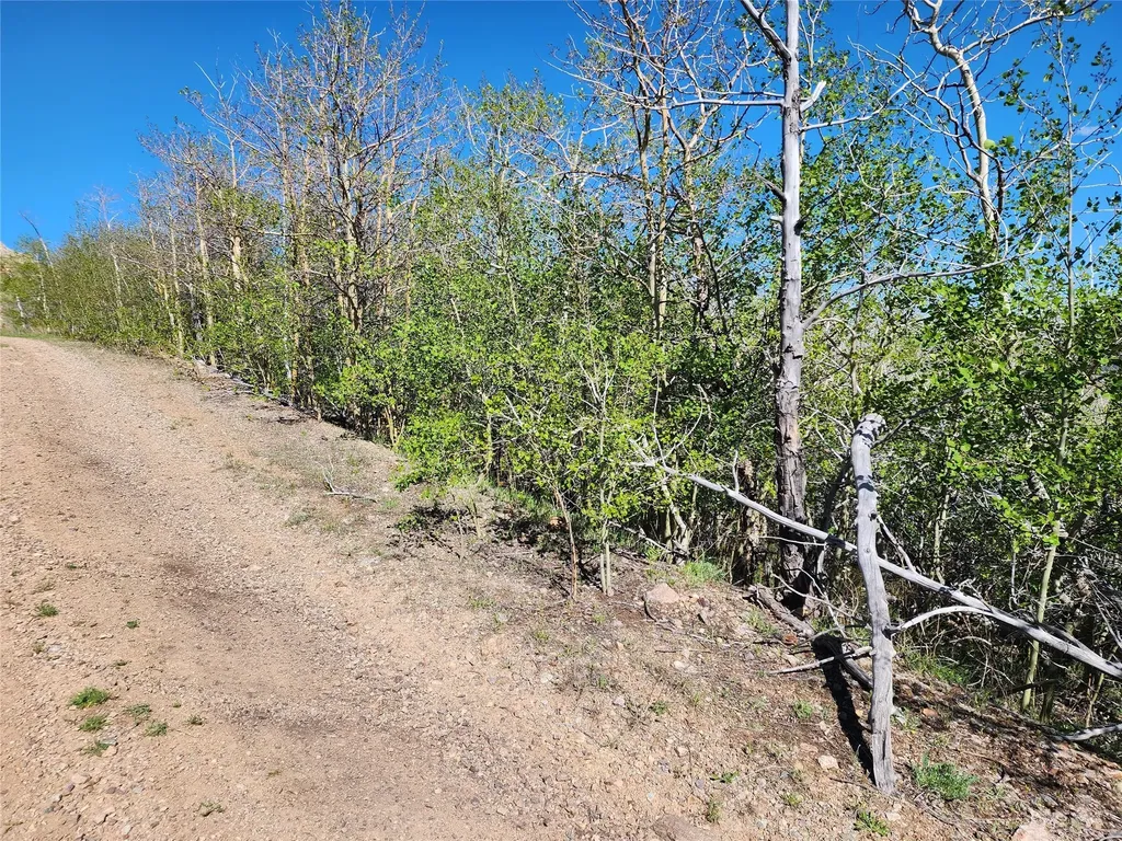 Nhn Alpha Lode & Alpha Fraction Lode, Alpha Trail Anaconda MT 59711