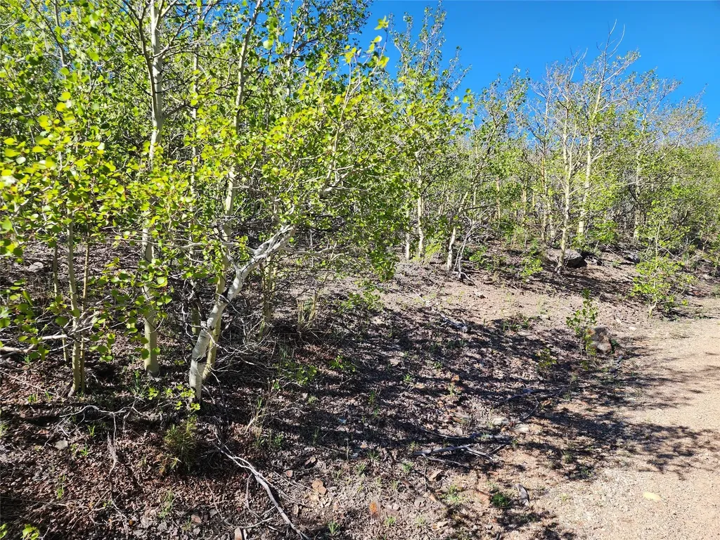 Nhn Alpha Lode & Alpha Fraction Lode, Alpha Trail Anaconda MT 59711