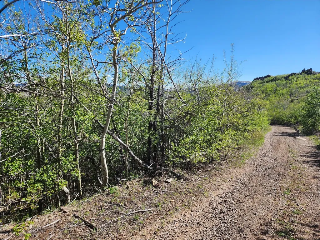 Nhn Alpha Lode & Alpha Fraction Lode, Alpha Trail Anaconda MT 59711