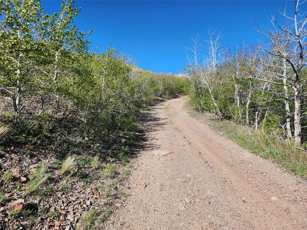 Nhn Alpha Lode & Alpha Fraction Lode, Alpha Trail Anaconda MT 59711