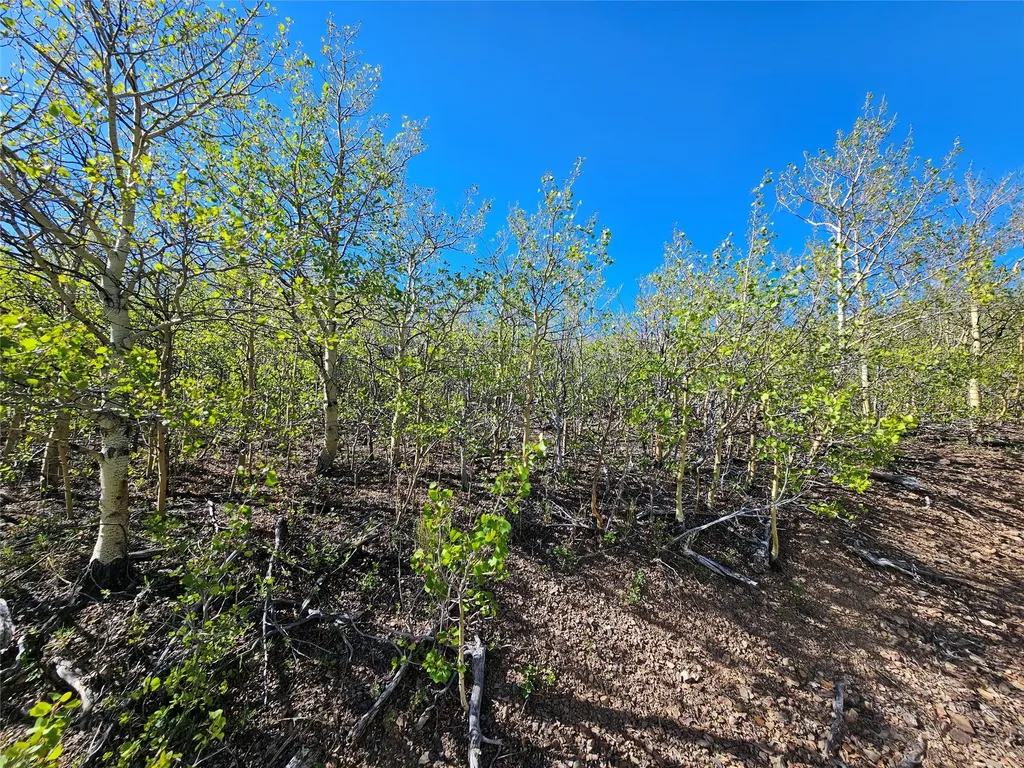Nhn Alpha Lode & Alpha Fraction Lode, Alpha Trail Anaconda MT 59711