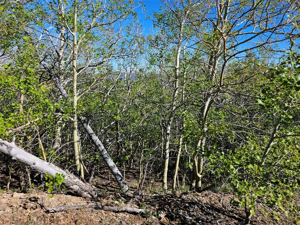 Nhn Alpha Lode & Alpha Fraction Lode, Alpha Trail Anaconda MT 59711