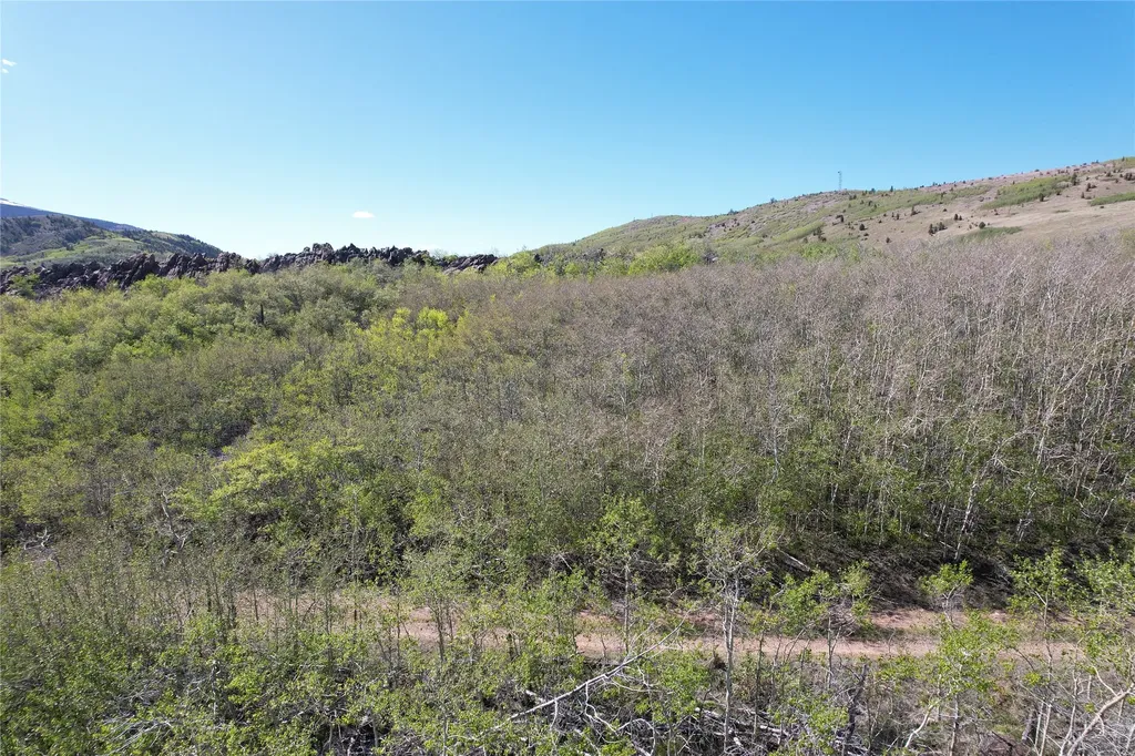 Nhn Alpha Lode & Alpha Fraction Lode, Alpha Trail Anaconda MT 59711