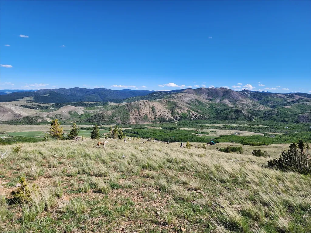 Nhn Alpha Lode & Alpha Fraction Lode, Alpha Trail Anaconda MT 59711