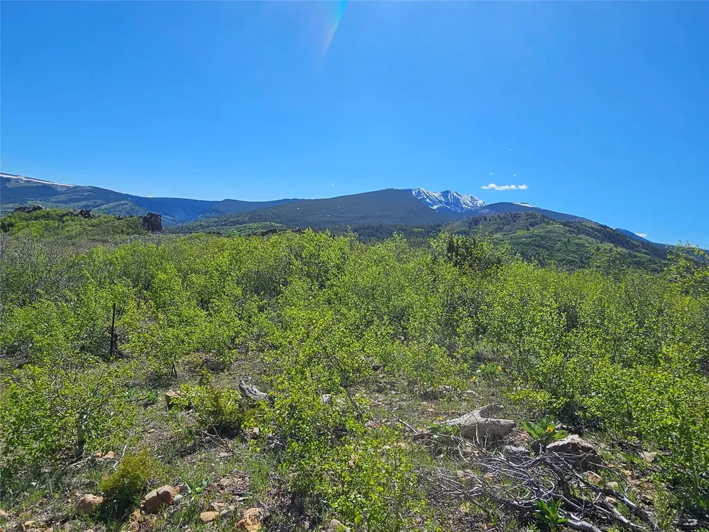 Nhn Alpha Lode & Alpha Fraction Lode, Alpha Trail Anaconda MT 59711