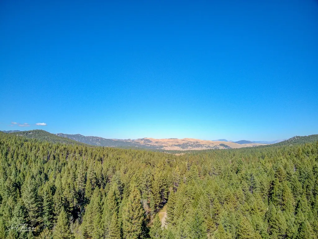 2115 Colorado Gulch Drive Helena MT 59601