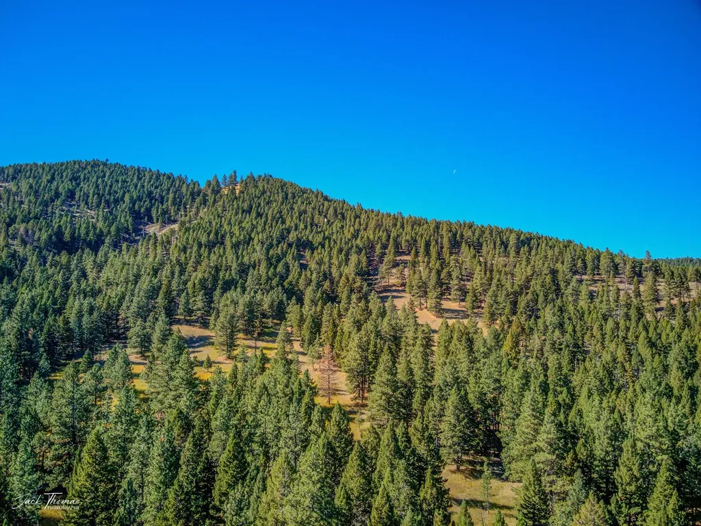 2115 Colorado Gulch Drive Helena MT 59601