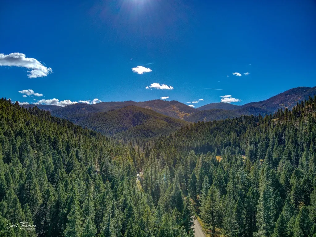 2115 Colorado Gulch Drive Helena MT 59601