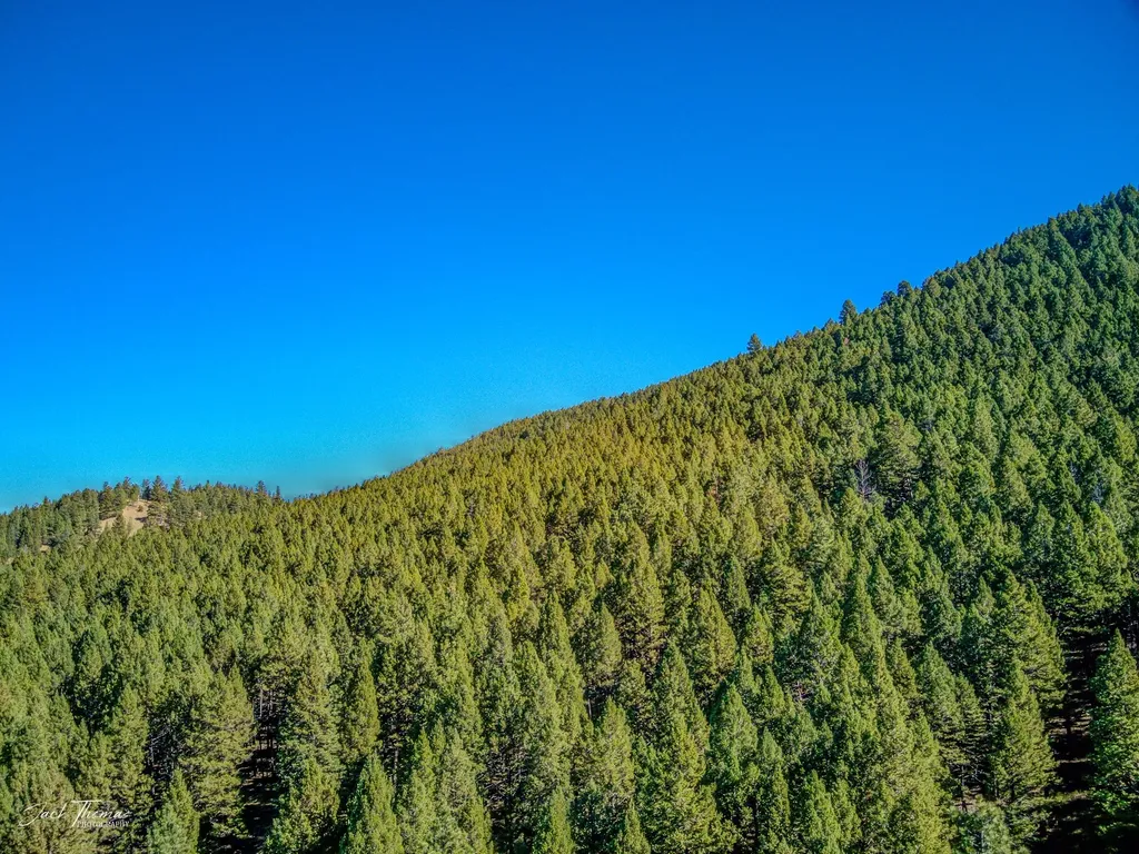 2115 Colorado Gulch Drive Helena MT 59601