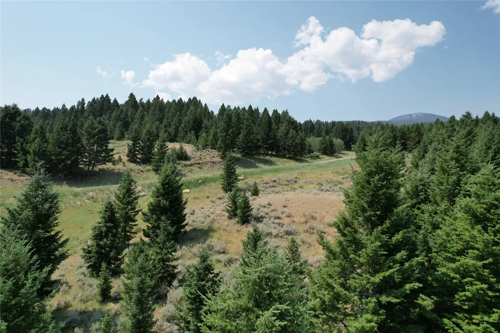 Lot 25 Sun West Ranch Cameron MT 59720