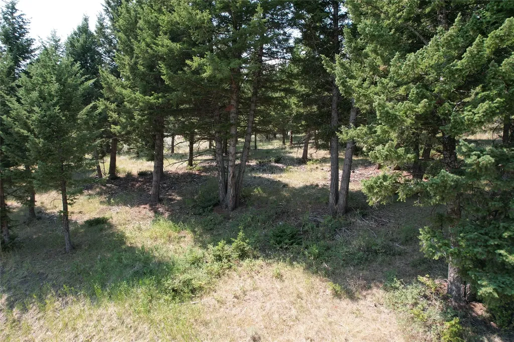 Lot 25 Sun West Ranch Cameron MT 59720