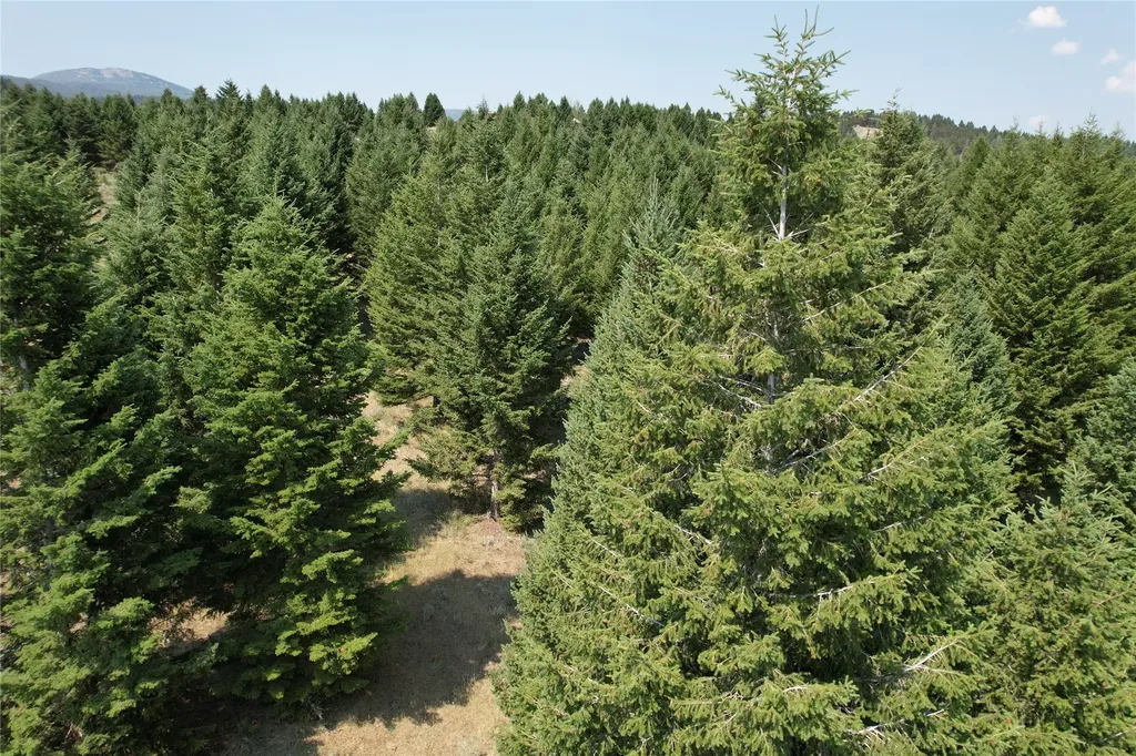 Lot 25 Sun West Ranch Cameron MT 59720