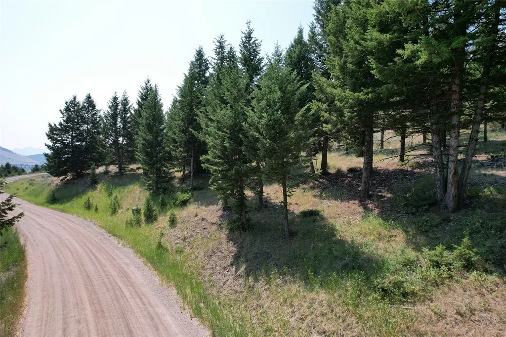 Lot 25 Sun West Ranch Cameron MT 59720