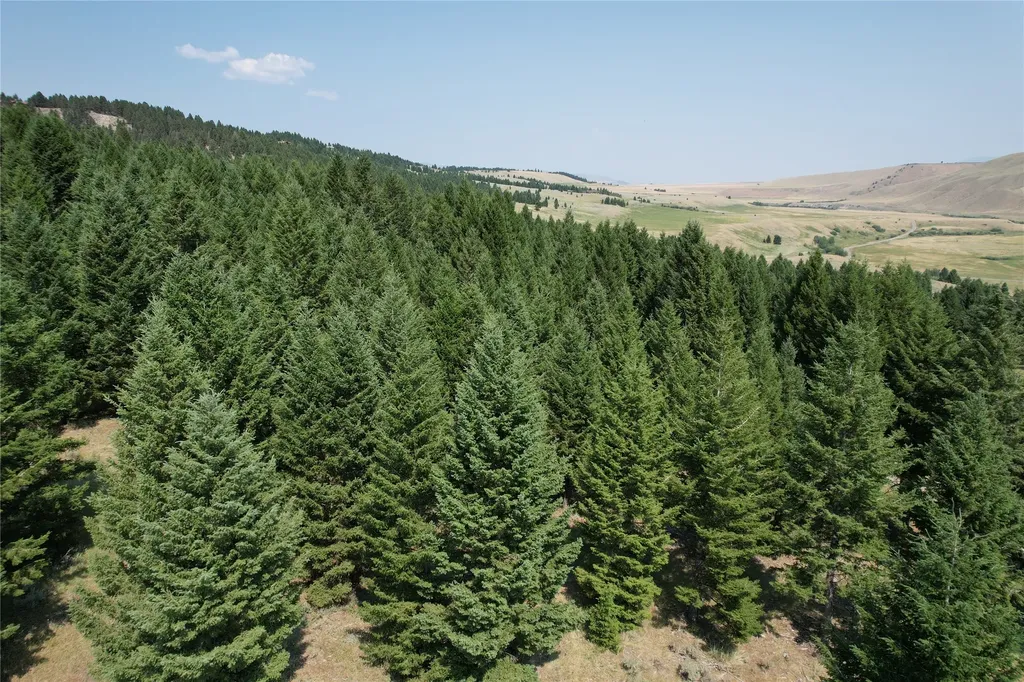Lot 25 Sun West Ranch Cameron MT 59720