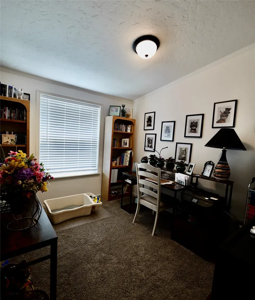 293 Jette Road Condon MT 59826