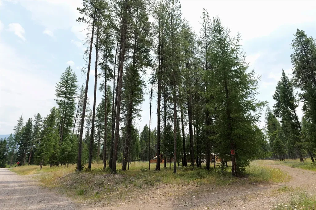 293 Jette Road Condon MT 59826