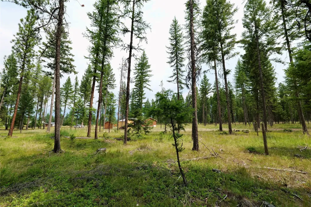 293 Jette Road Condon MT 59826