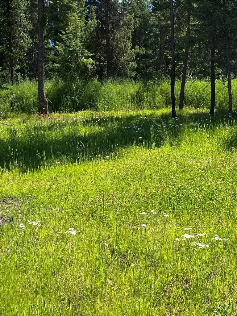 293 Jette Road Condon MT 59826