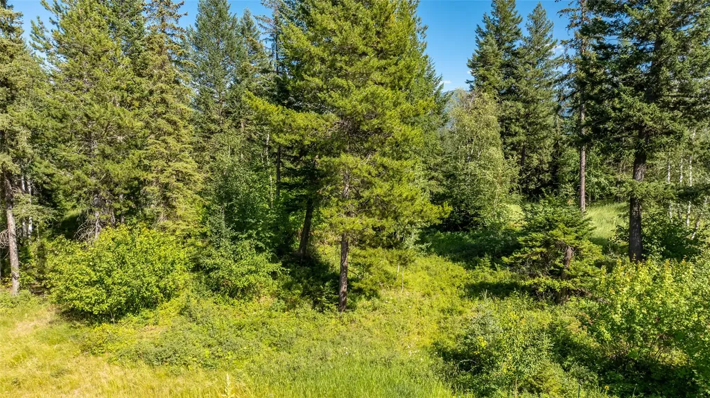 1284 Oakmont Lane Columbia Falls MT 59912