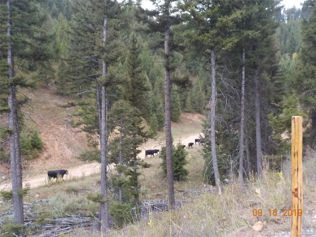 6 Cramer Springs Trail Clinton MT 59825