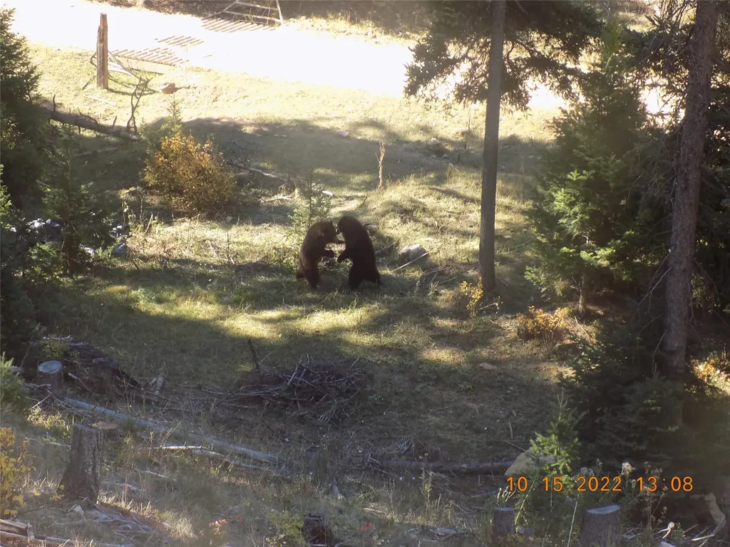 6 Cramer Springs Trail Clinton MT 59825