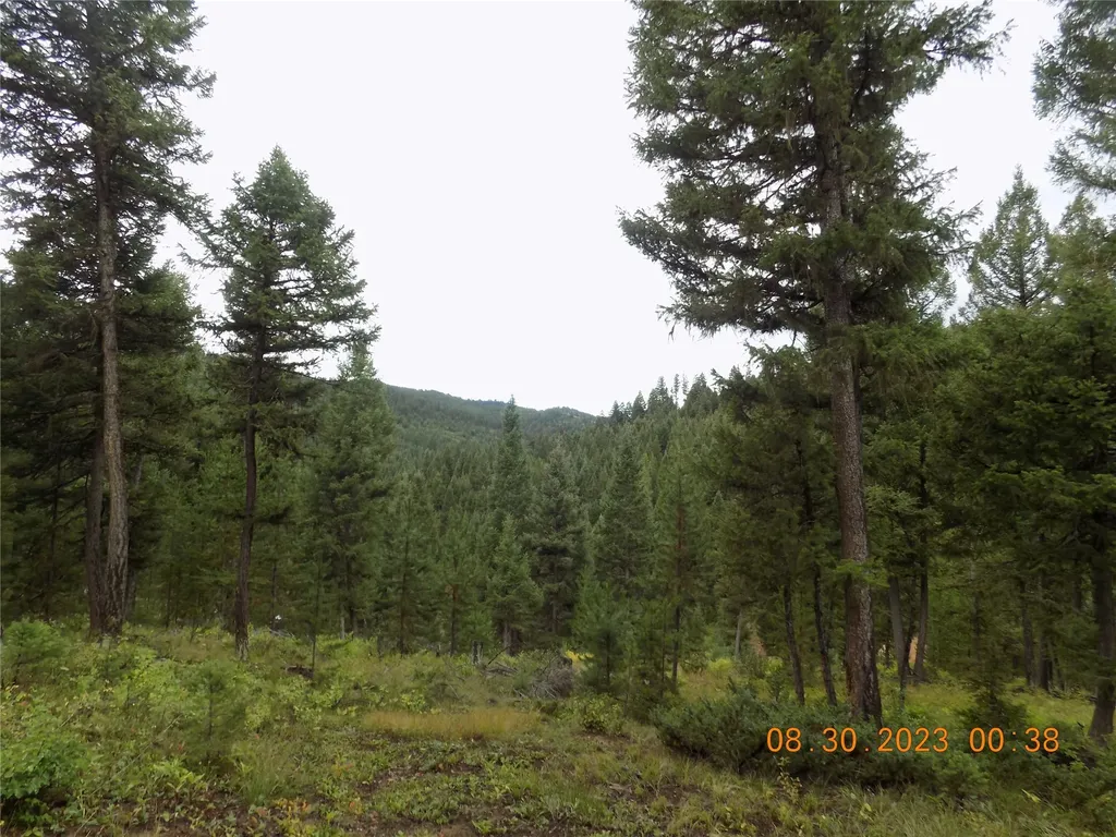 6 Cramer Springs Trail Clinton MT 59825