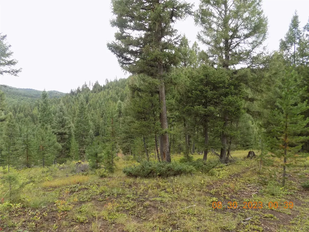 6 Cramer Springs Trail Clinton MT 59825