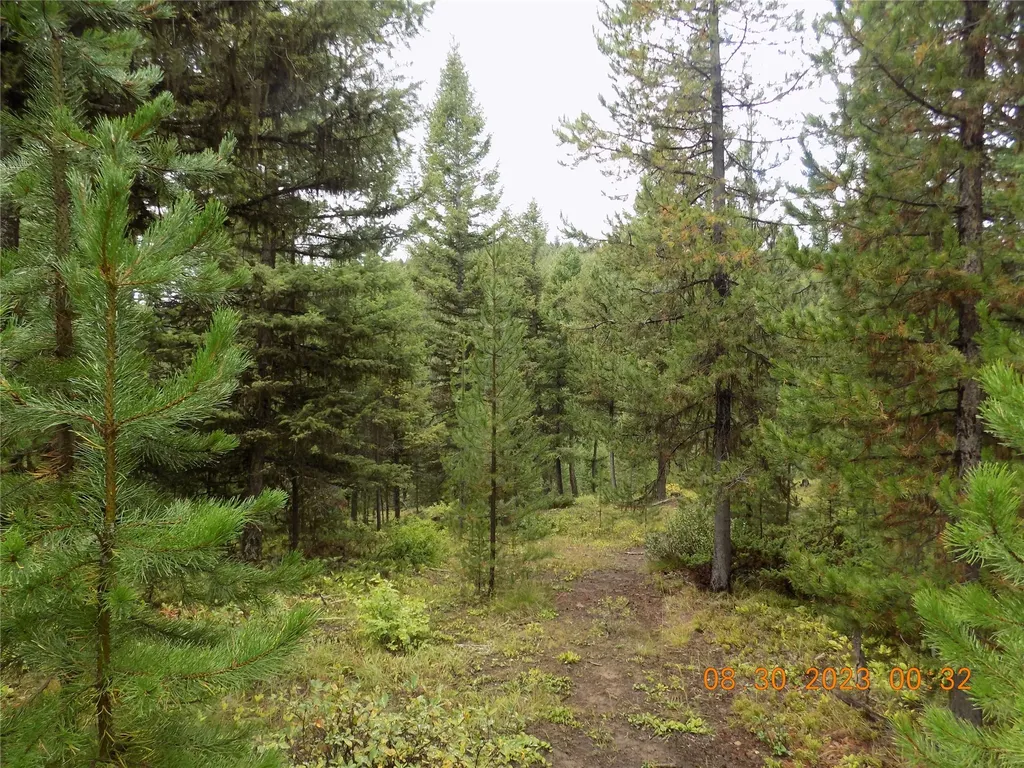 6 Cramer Springs Trail Clinton MT 59825