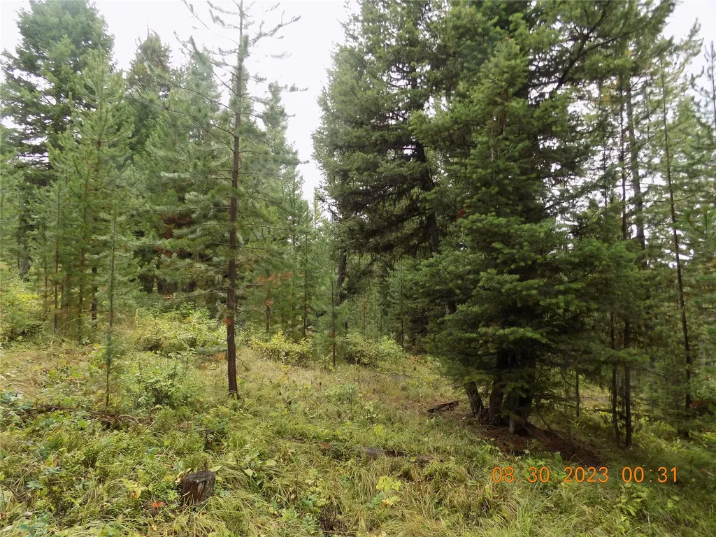 6 Cramer Springs Trail Clinton MT 59825