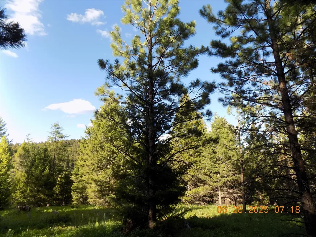 6 Cramer Springs Trail Clinton MT 59825