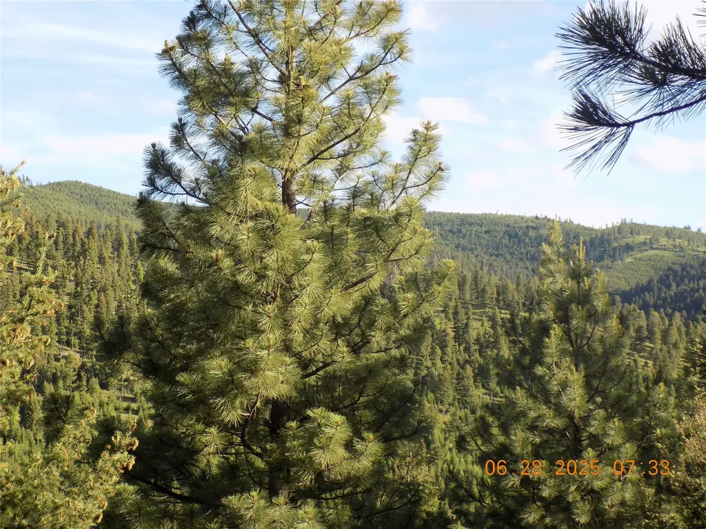 6 Cramer Springs Trail Clinton MT 59825