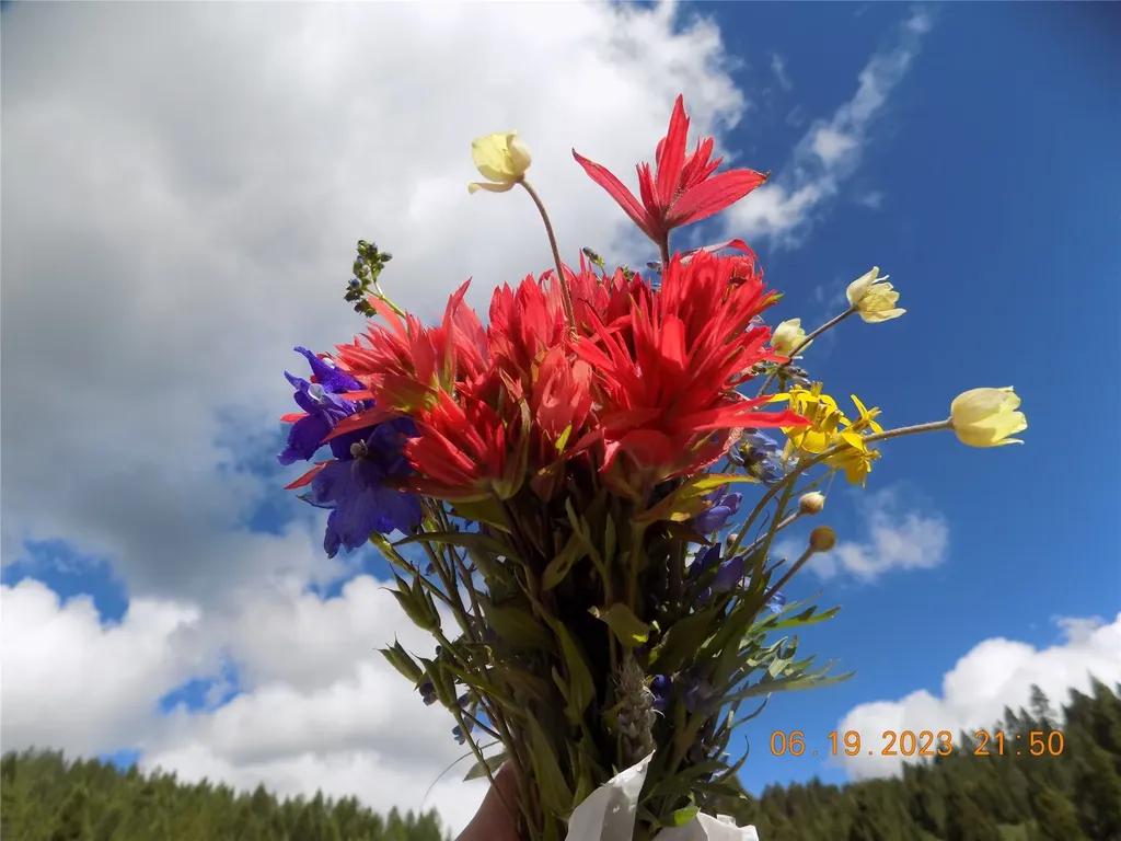 6 Cramer Springs Trail Clinton MT 59825