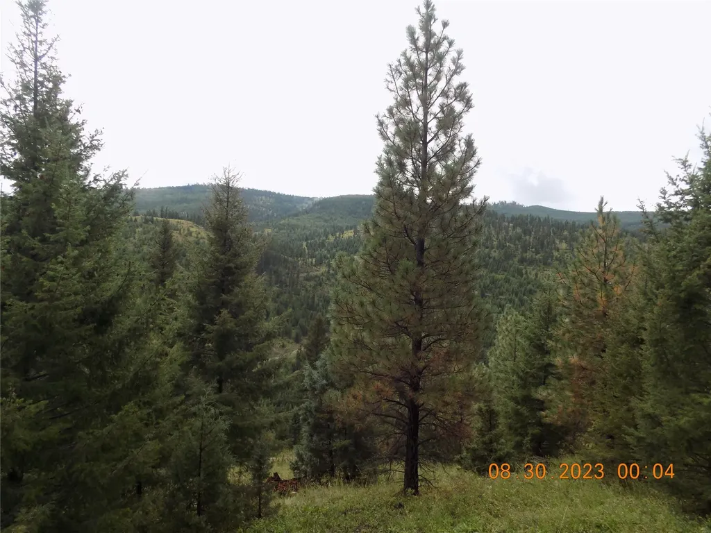 6 Cramer Springs Trail Clinton MT 59825