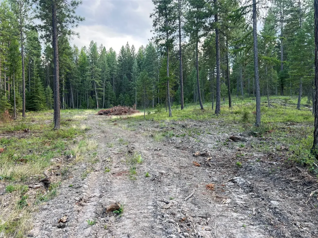 Tbd Granite Lake Road Libby MT 59923