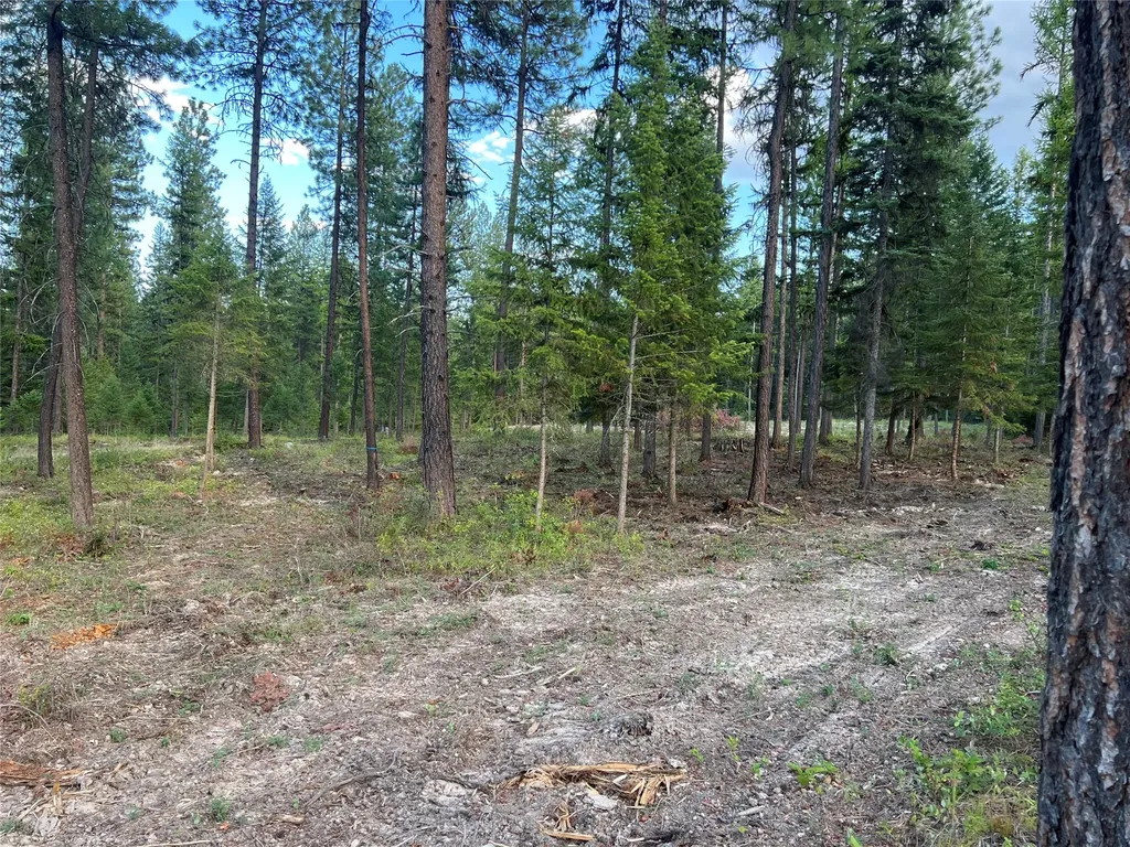 Tbd Granite Lake Road Libby MT 59923