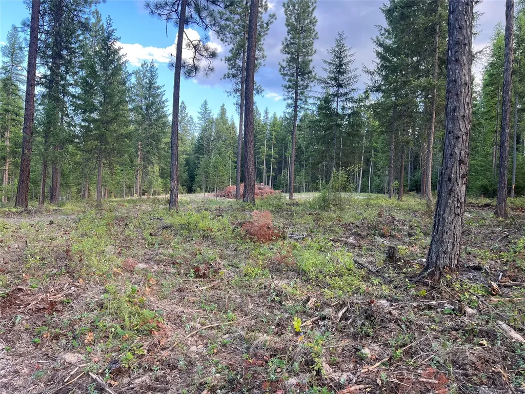 Tbd Granite Lake Road Libby MT 59923