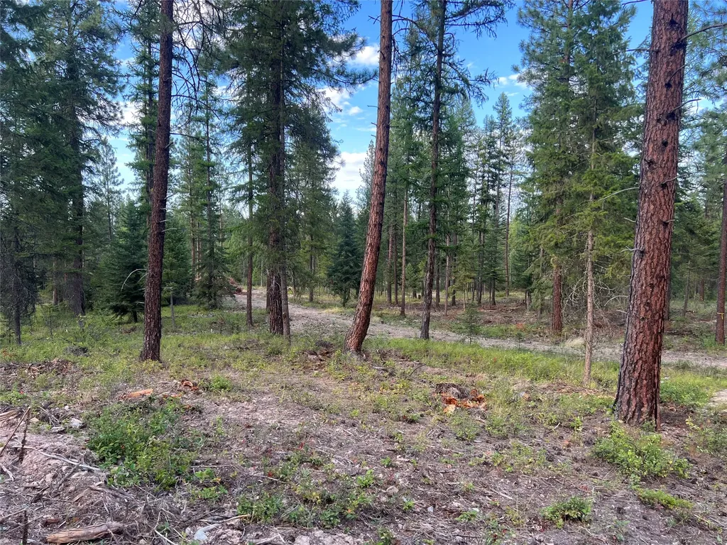 Tbd Granite Lake Road Libby MT 59923