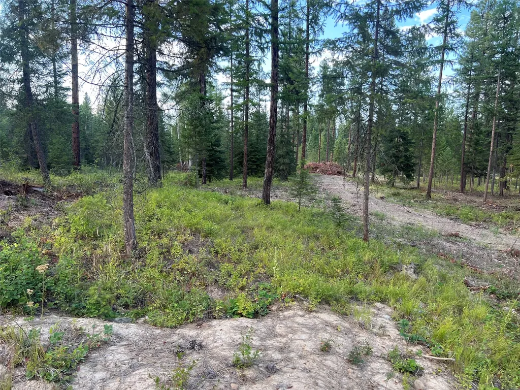 Tbd Granite Lake Road Libby MT 59923