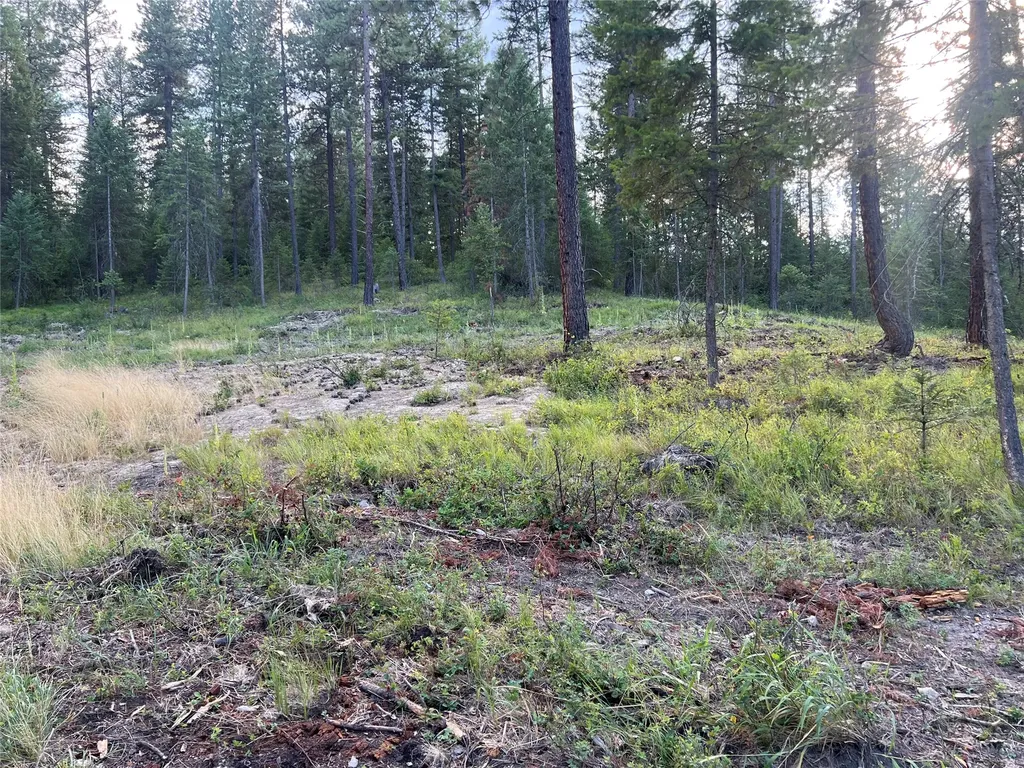 Tbd Granite Lake Road Libby MT 59923