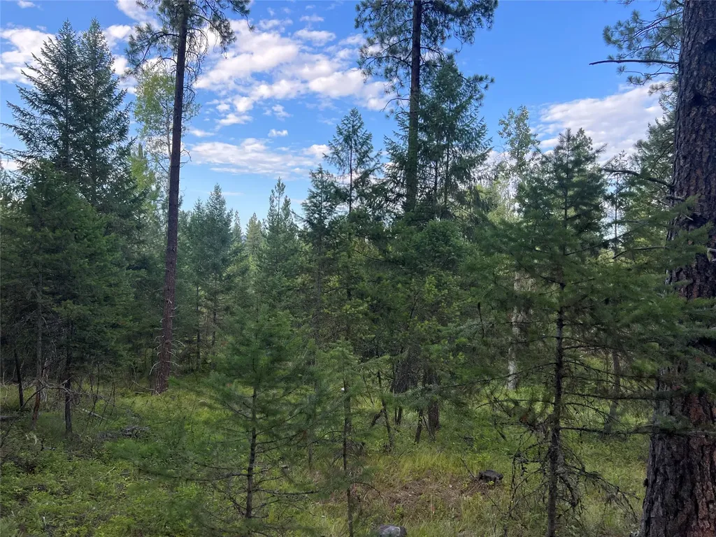 Tbd Granite Lake Road Libby MT 59923