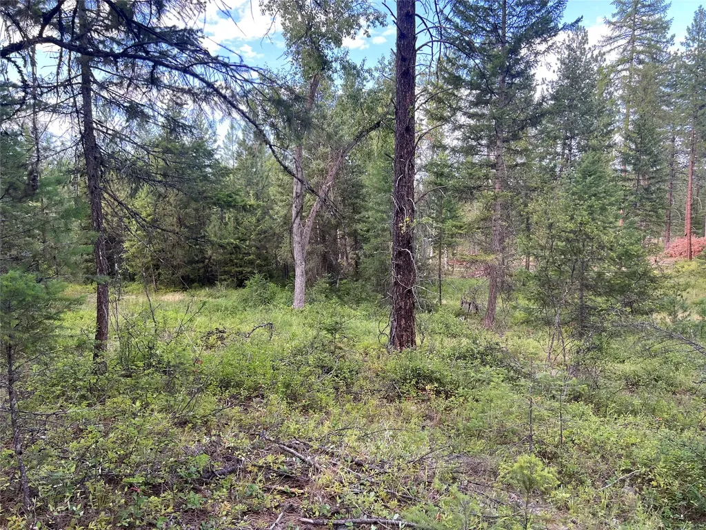 Tbd Granite Lake Road Libby MT 59923