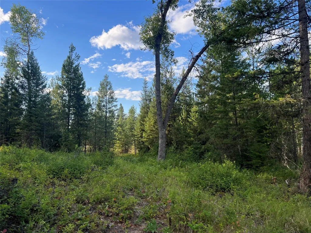 Tbd Granite Lake Road Libby MT 59923