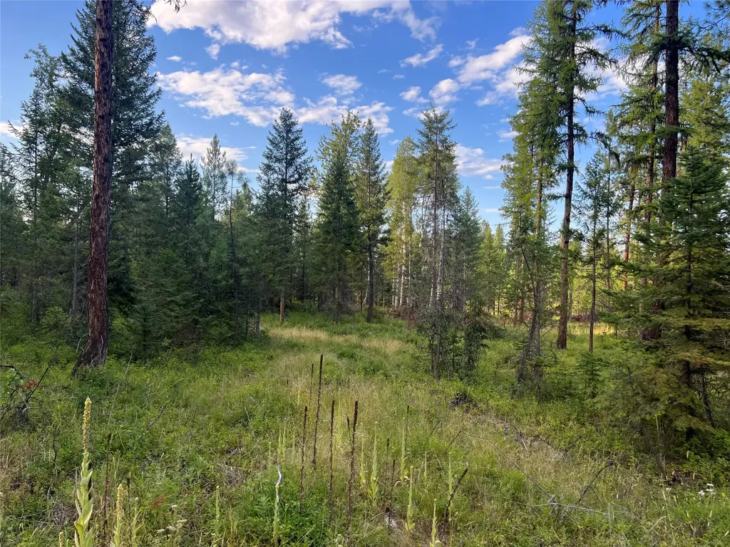 Tbd Granite Lake Road Libby MT 59923