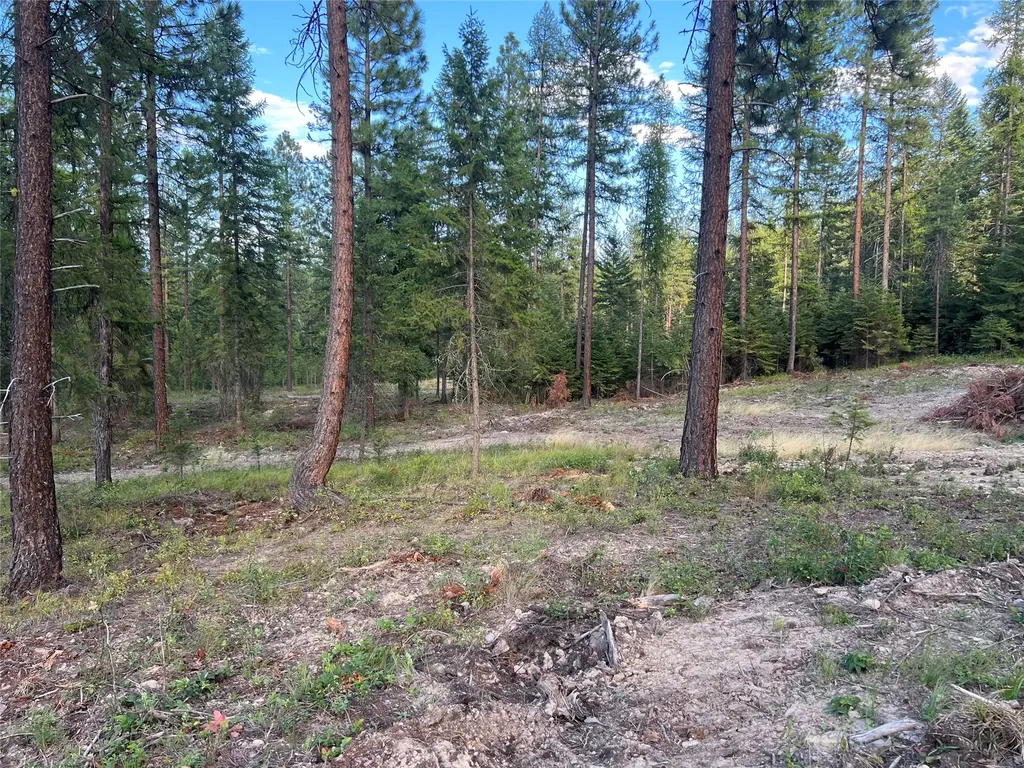 Tbd Granite Lake Road Libby MT 59923
