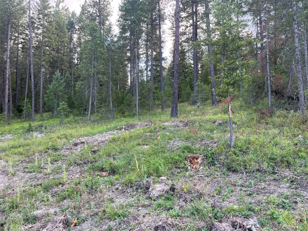 Tbd Granite Lake Road Libby MT 59923