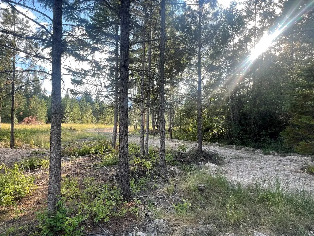 Tbd Granite Lake Road Libby MT 59923