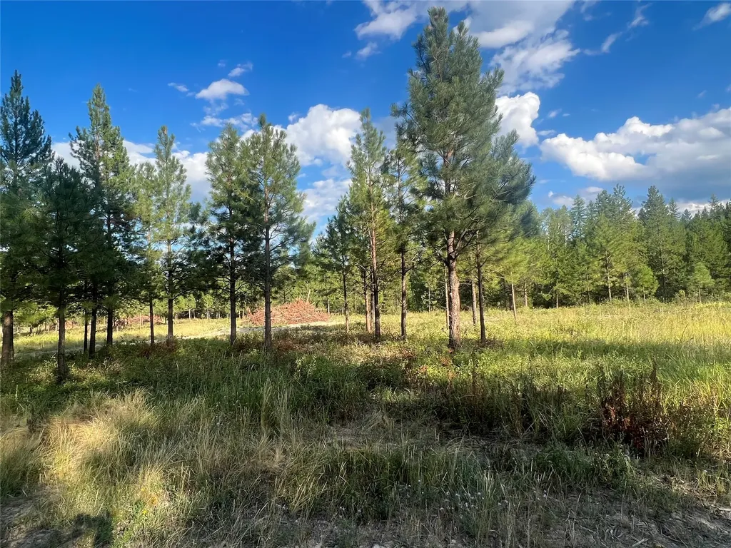 Tbd Granite Lake Road Libby MT 59923
