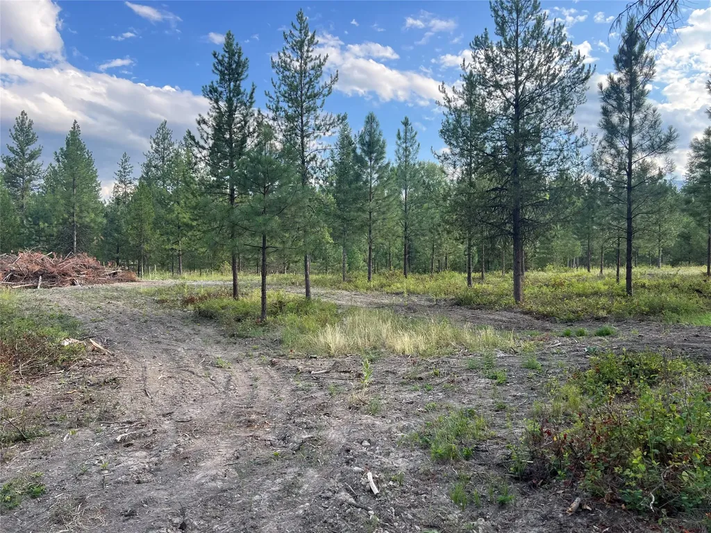 Tbd Granite Lake Road Libby MT 59923